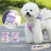 Arnés para perro con mochila correa ajustable - Dressygt