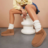 Botines estilo Ugg