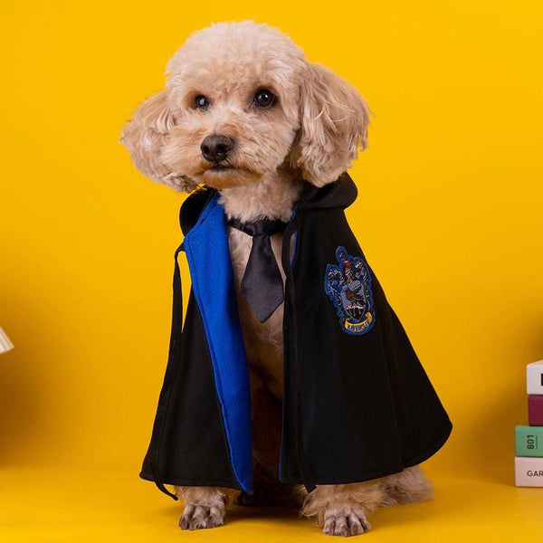 Capa de harry potter para mascota