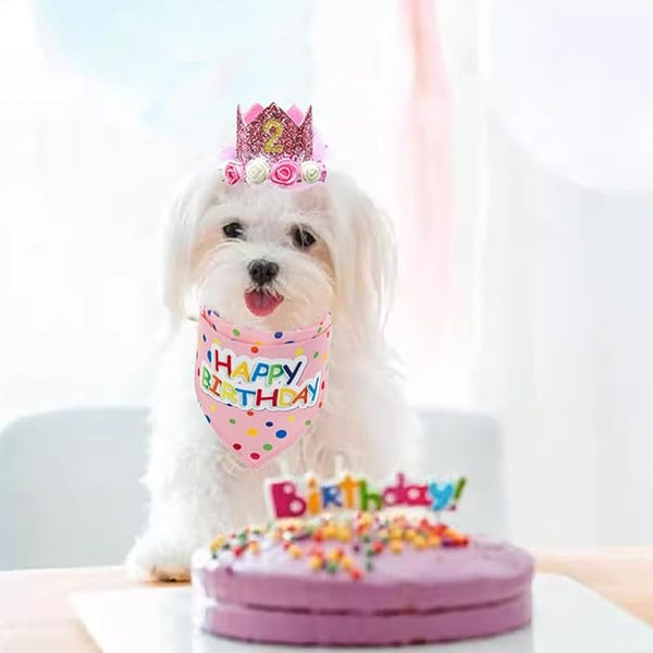 Set de Happy Birthday para mascotas
