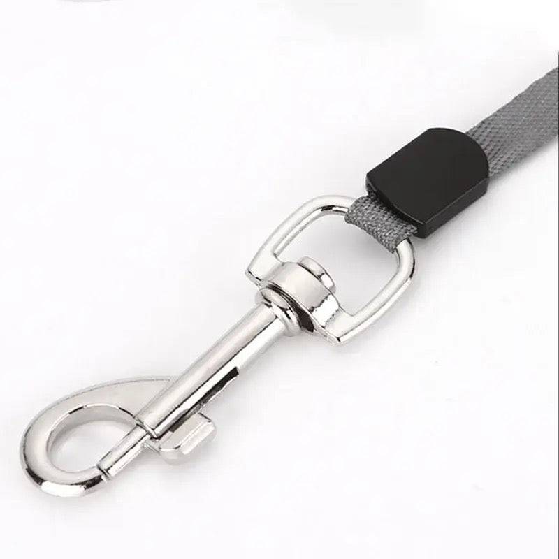 Correa de extensión automática para mascotas - Dressygt