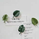 Set Imanes de hojas tropicales