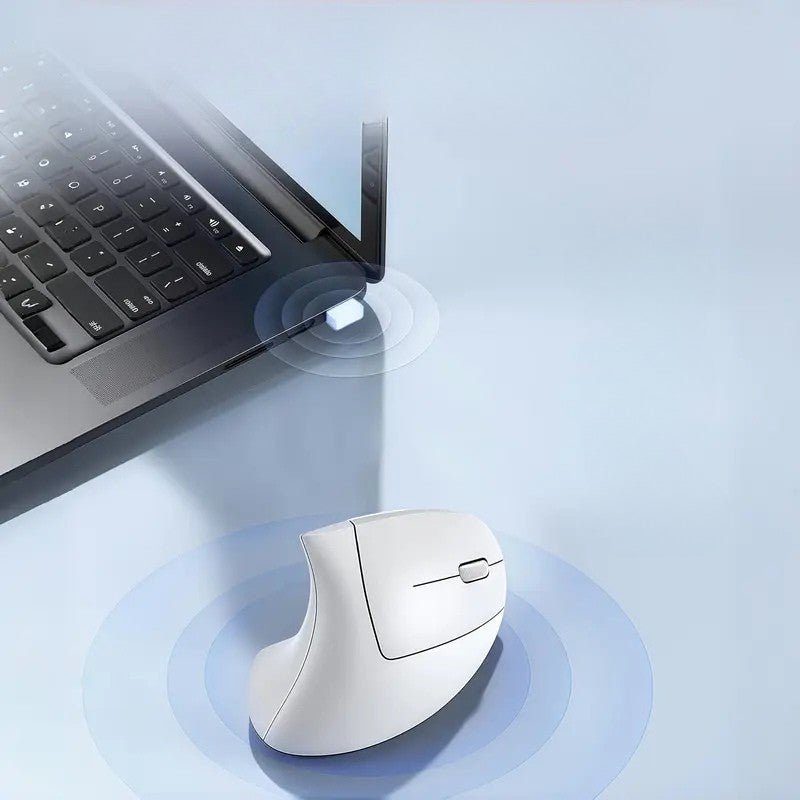 Mouse ergonómico inalámbrico - Dressygt