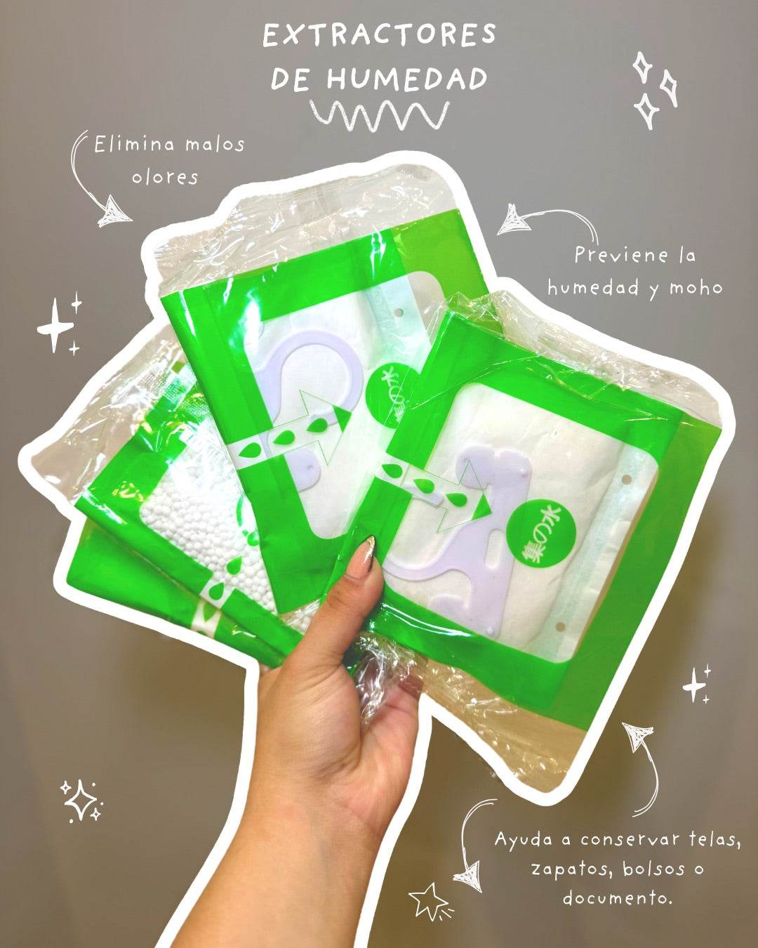 Set de 5 Extractores de humedad - Dressygt