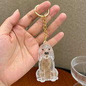 Llavero de recuerdo para pelo de perro - Dressygt