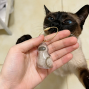 Llavero de gato con compartimento - Dressygt