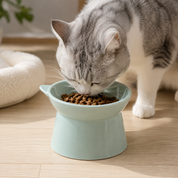 Plato elevado para gatos
