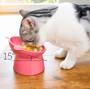 Plato elevado para gatos