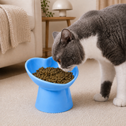 Comedero elevado para gatos