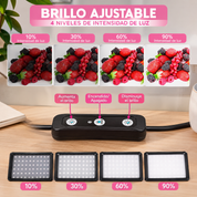 Luz LED para fotos y videos con trípode