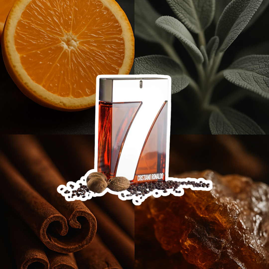 DD647A48-B434-4A5A-A80C-288250DEF23C.png