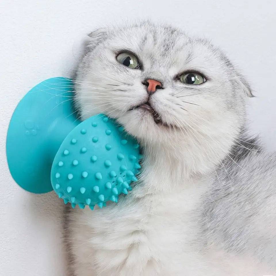 Rascador de silicona para gatos - Dressygt