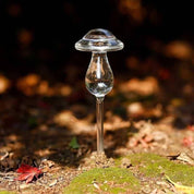 Dispensador de agua para plantas - Dressygt