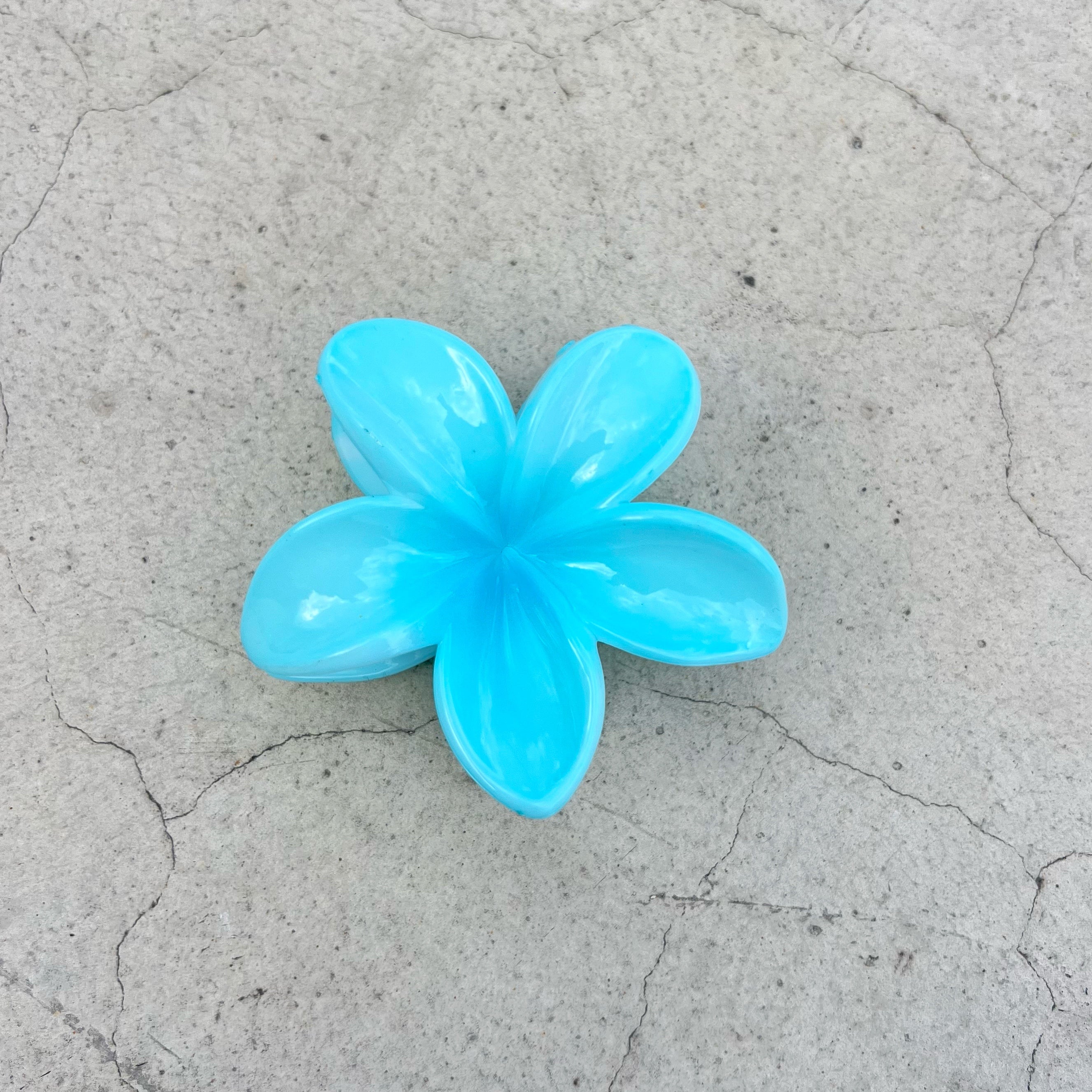 Gancho hawaiano de colores