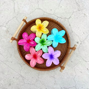 Gancho hawaiano de colores