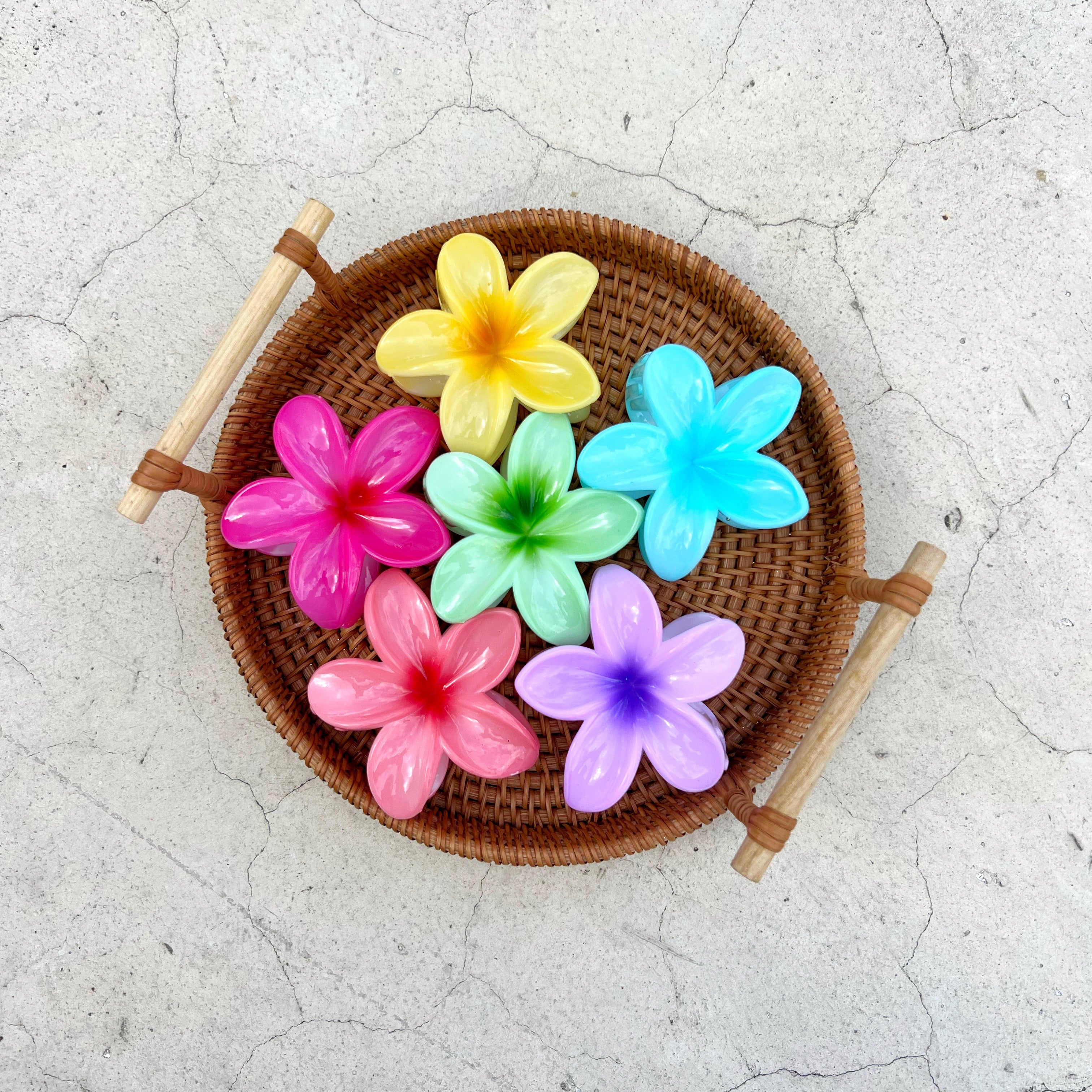Gancho hawaiano de colores