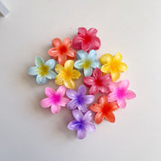 Docena de mini ganchos hawaianos para el cabello - Dressygt