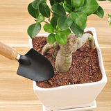 Set de herramientas de jardinería