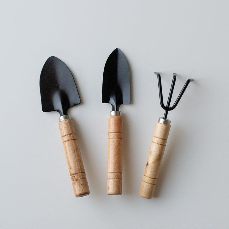 Set de herramientas de jardinería