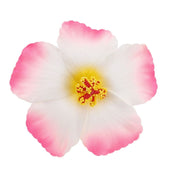 Docena de pinzas de cabello en forma de flor