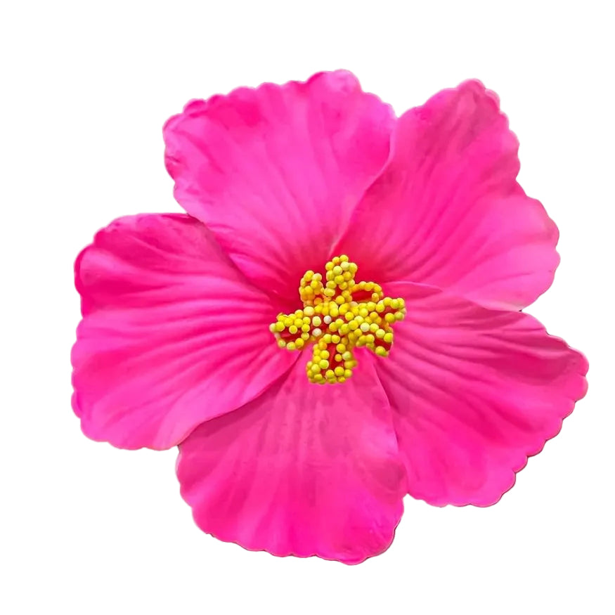 Docena de pinzas de cabello en forma de flor