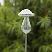 Dispensador de agua para plantas
