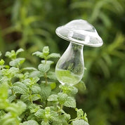 Dispensador de agua para plantas