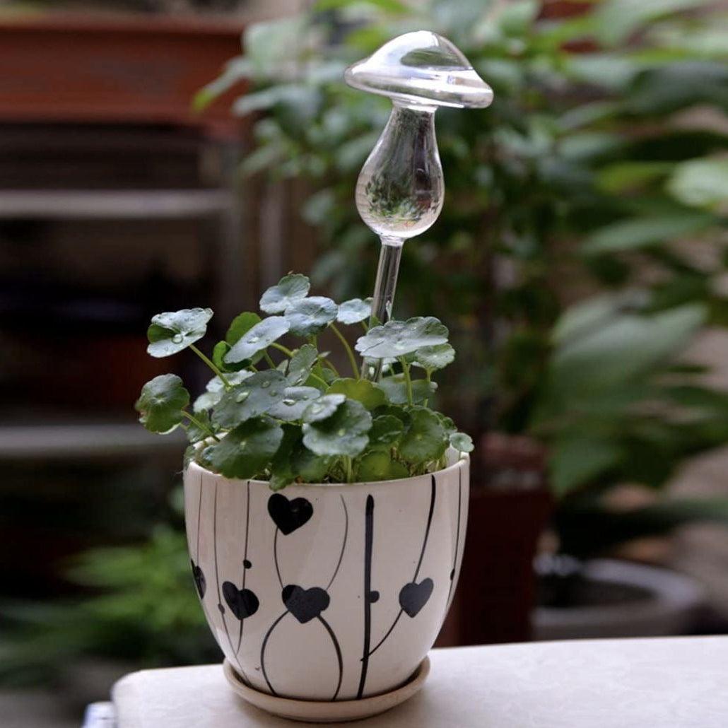 Dispensador de agua para plantas