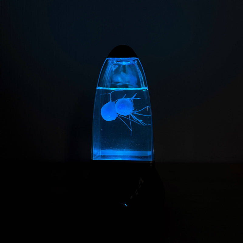 Lampara de medusas