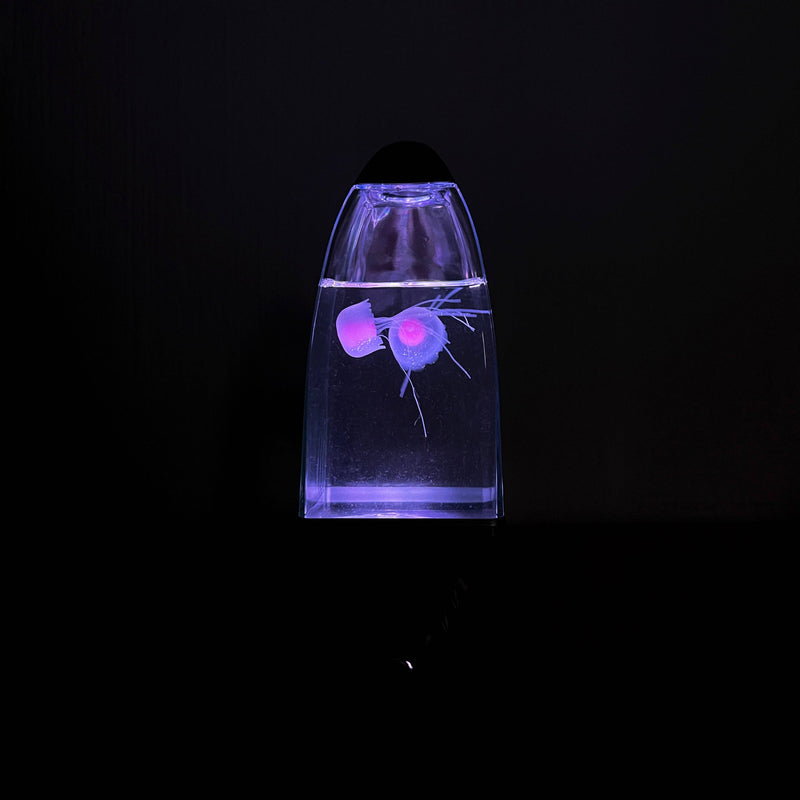 Lampara de medusas