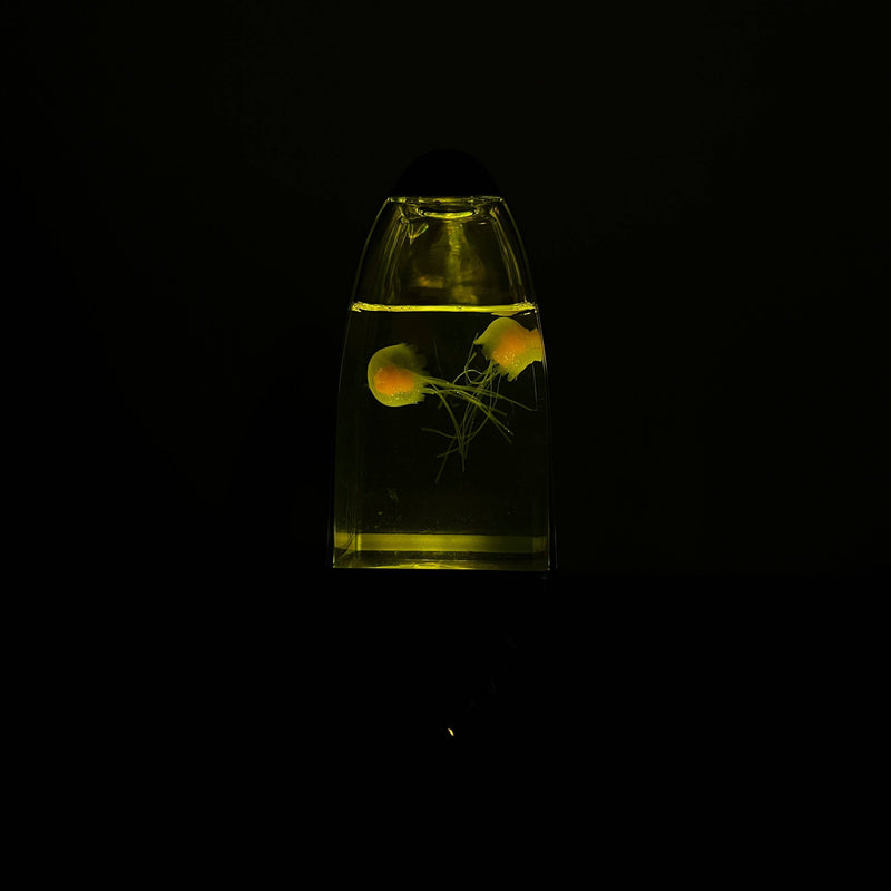 Lampara de medusas