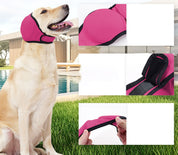 Protector antiruido para perros