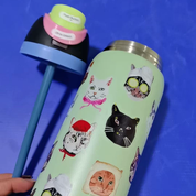 Termo tipo Owala con diseño de gatos - Dressygt