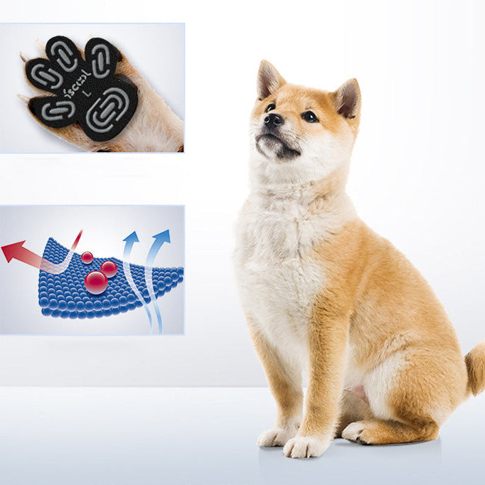 Pads protectores para huellitas de perro