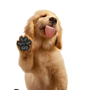 Pads protectores para huellitas de perro
