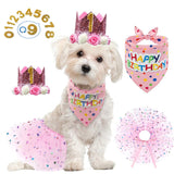 Set de Happy Birthday para mascotas