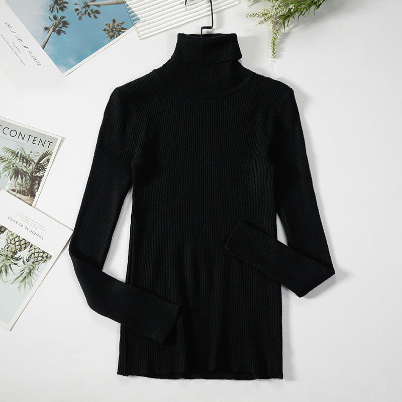 Blusa de cuello de tortuga básico