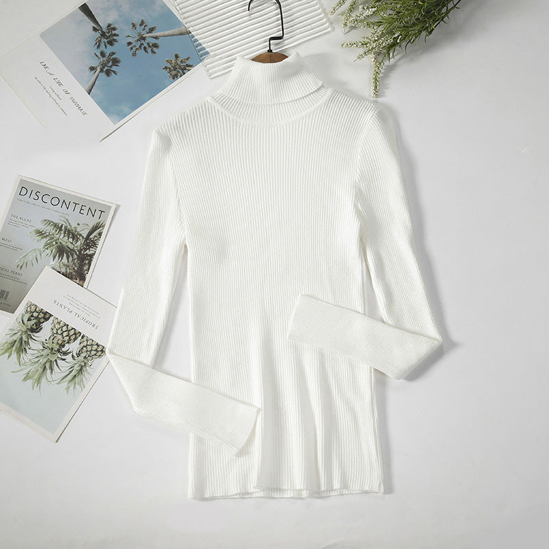 Blusa de cuello de tortuga básico