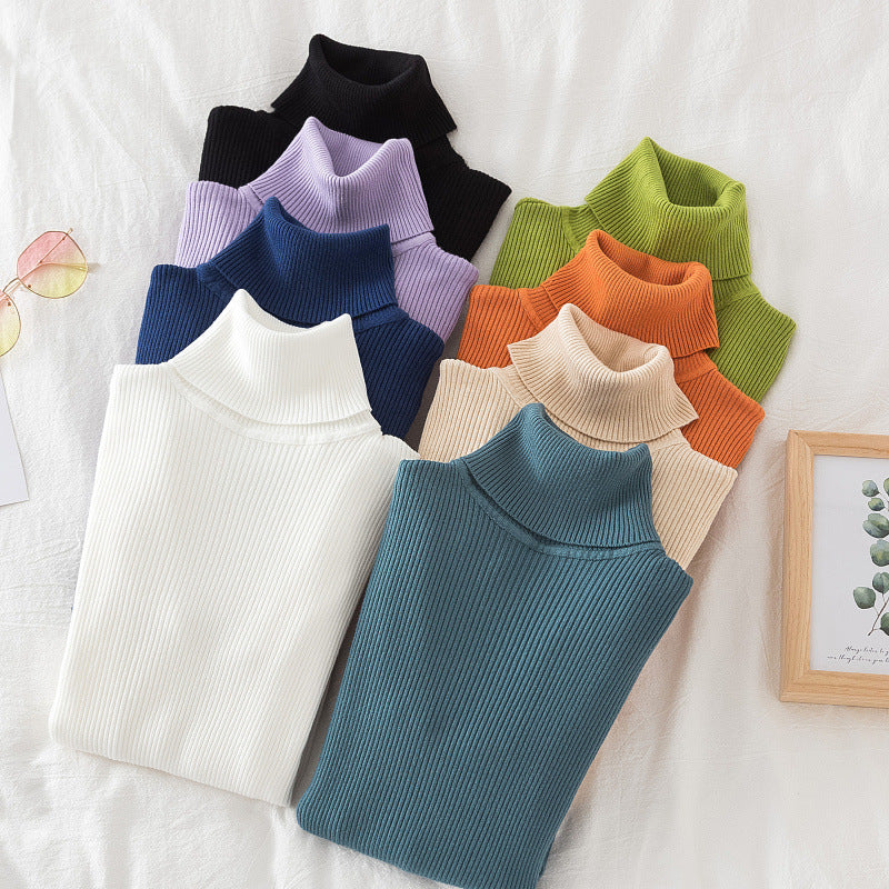 Blusa de cuello de tortuga básico