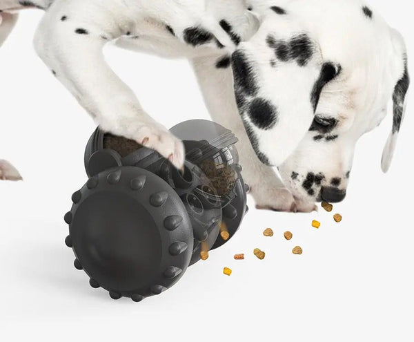 Dispensador de alimento interactivo para mascotas