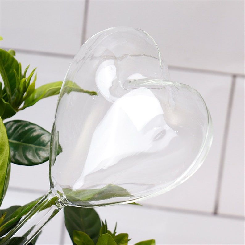 Dispensador de agua para plantas de corazón - Dressygt