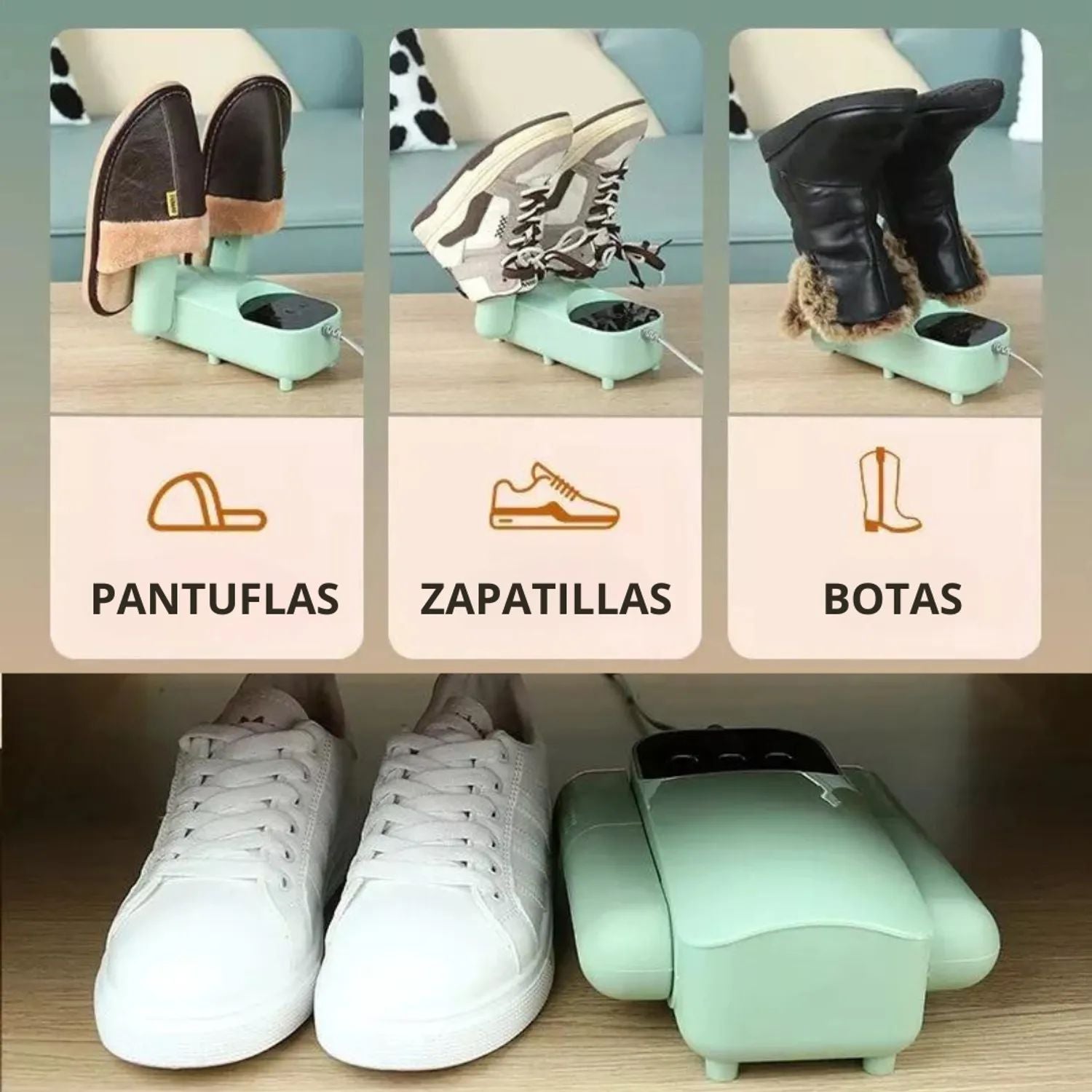Secadora eléctrica de zapatos multifuncional 360°
