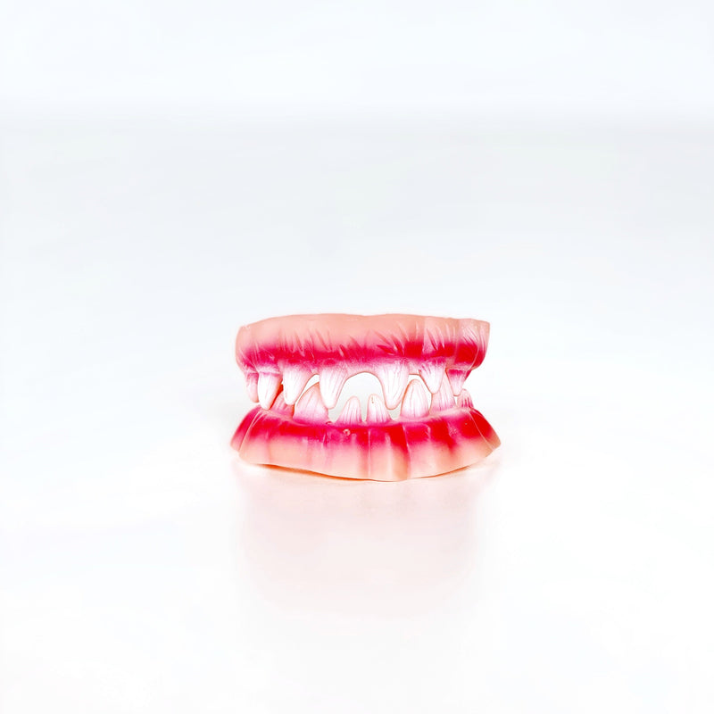 Dentadura falsa de  vampiro